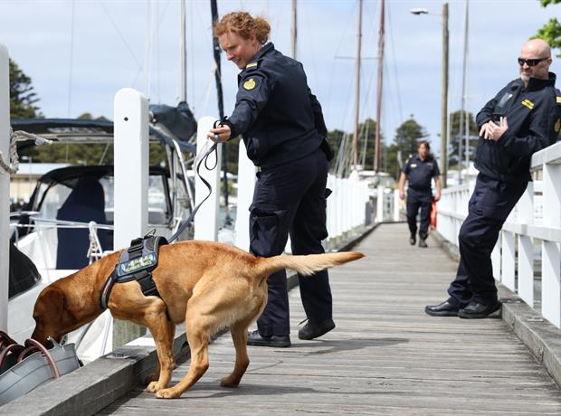 ABF conducts high-visibility operation in Port of Portland to counter large-scale drug imports